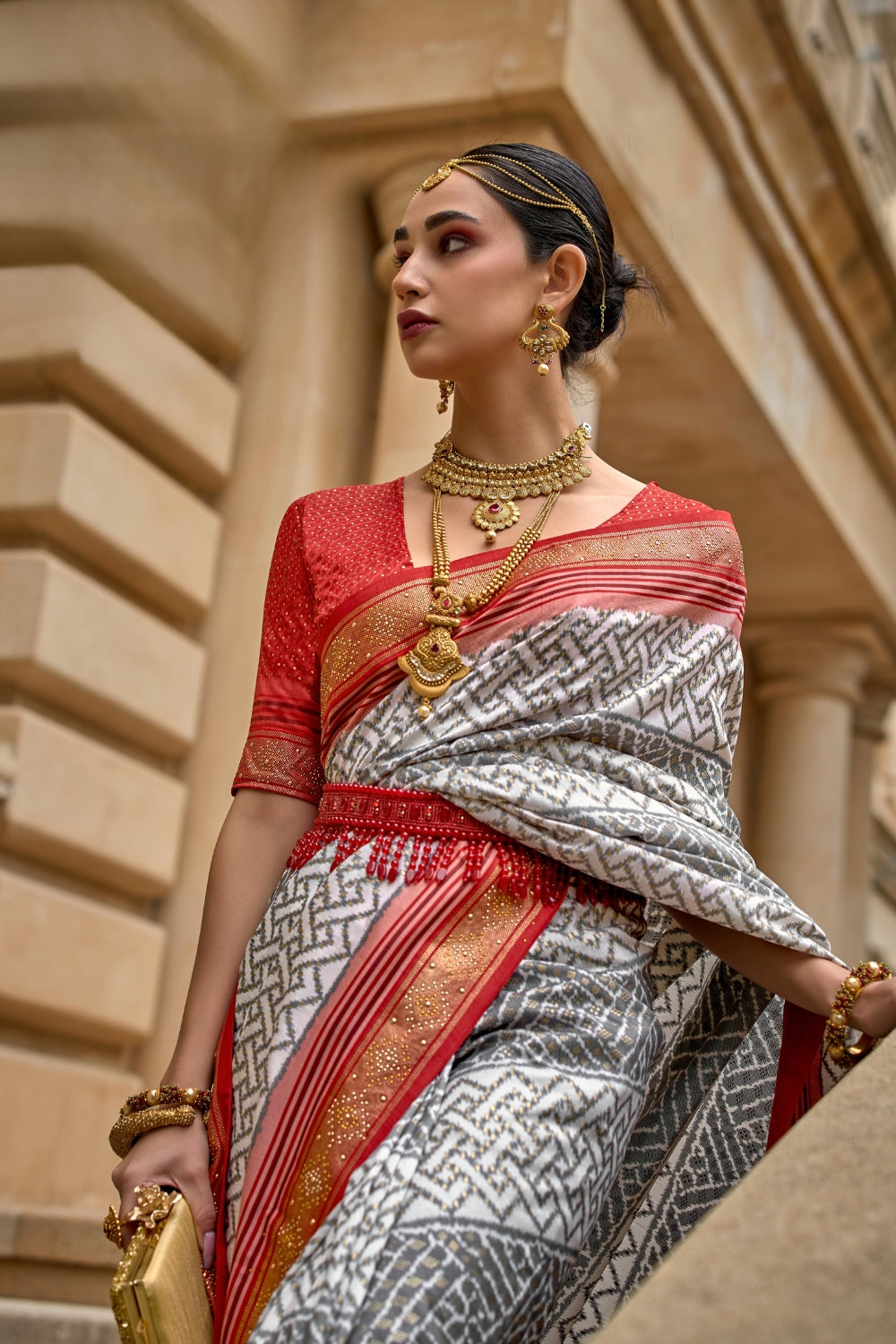 Multi PURE PATOLA Saree