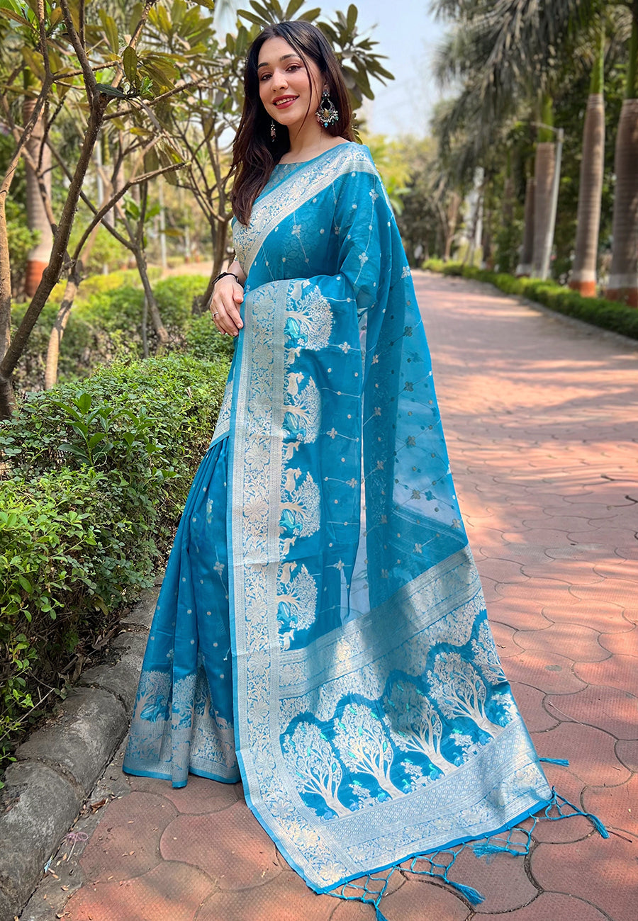 Blue Organza Saree