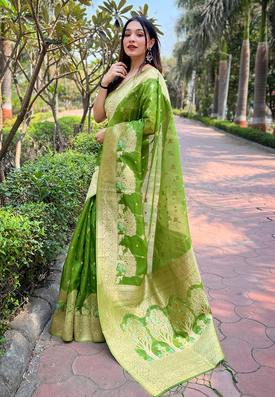 Green Organza Saree