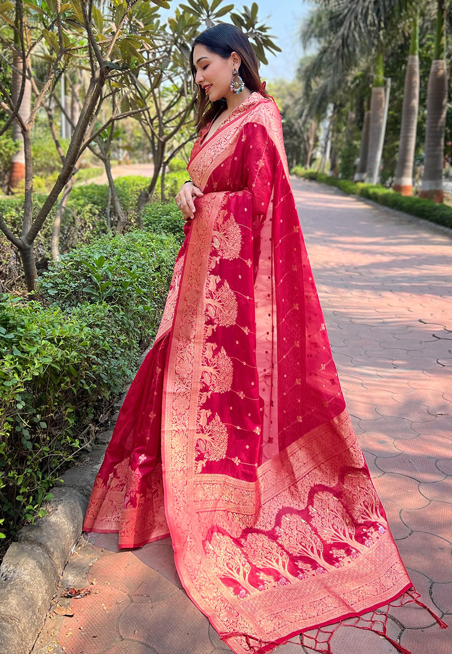 Pink Organza Saree