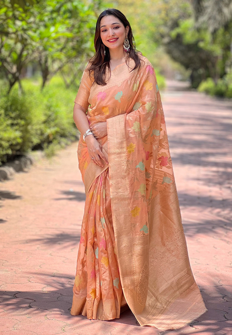 Baby Pink Organza Saree