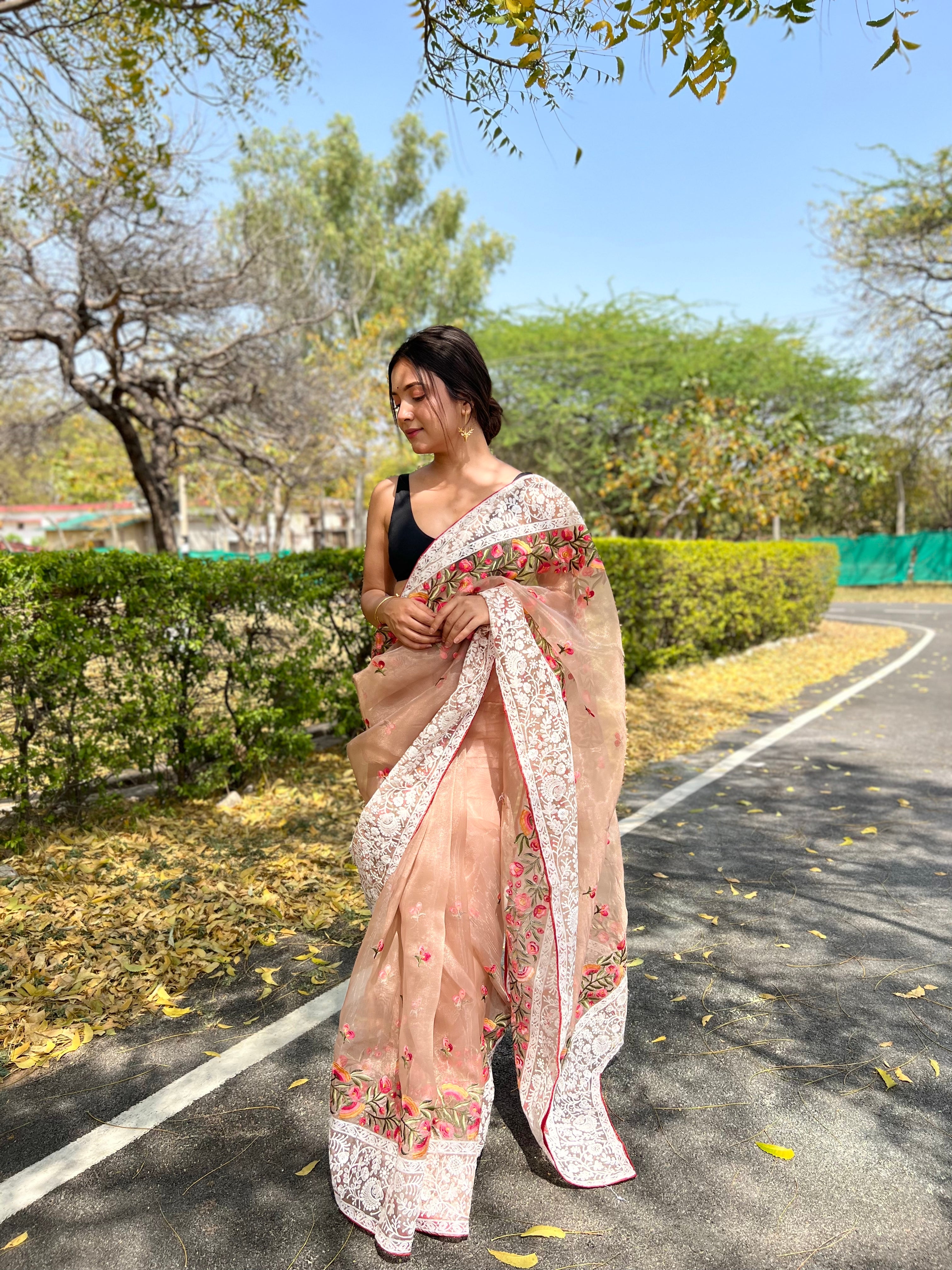 Brown Organza Saree With silk Blouse