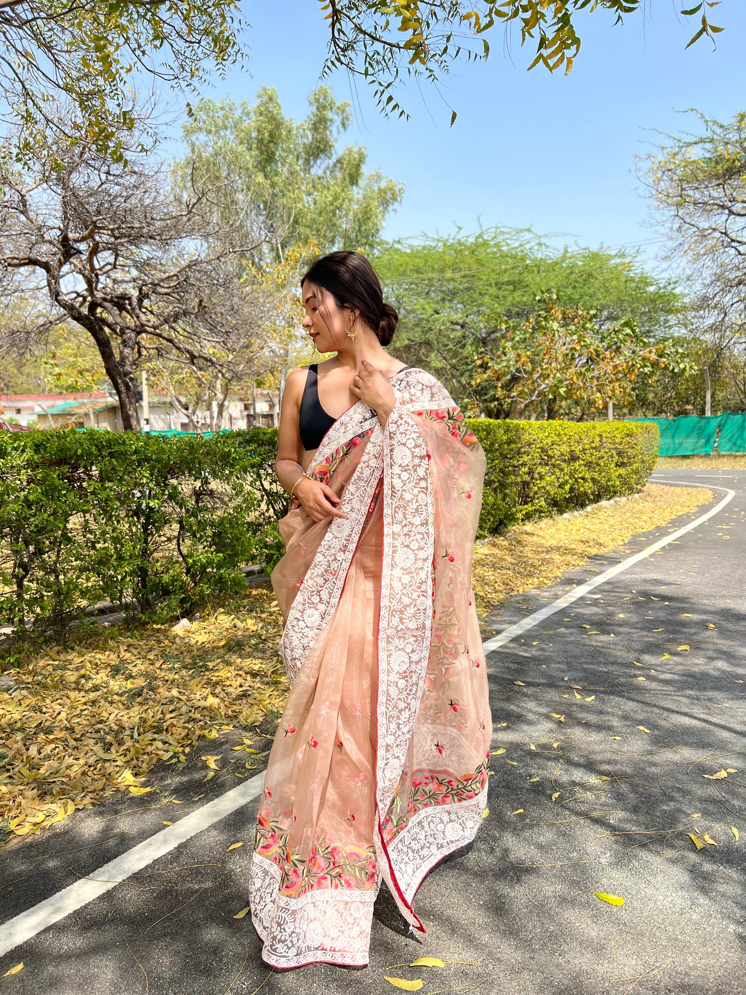 Brown Organza Saree With silk Blouse