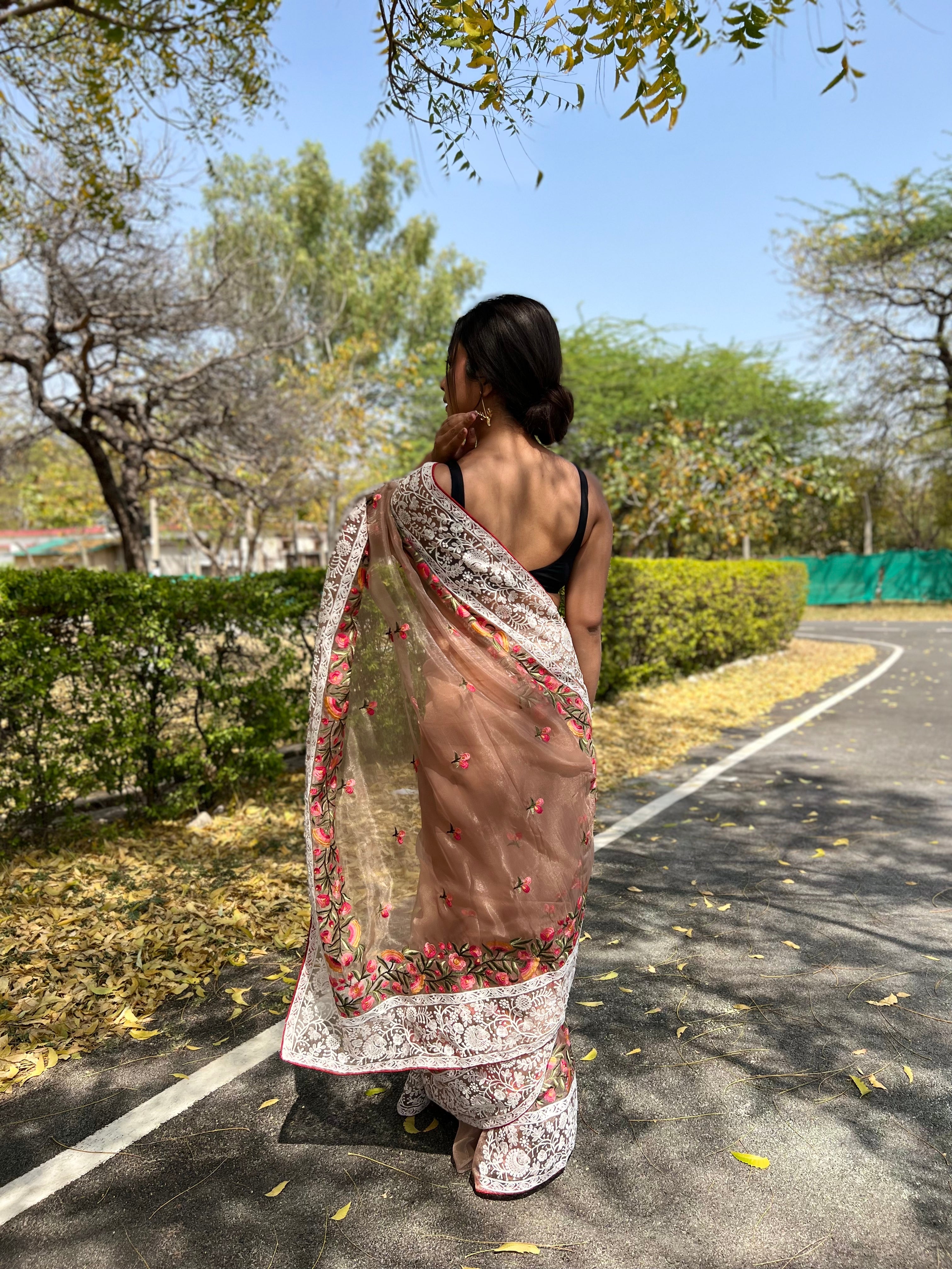 Brown Organza Saree With silk Blouse