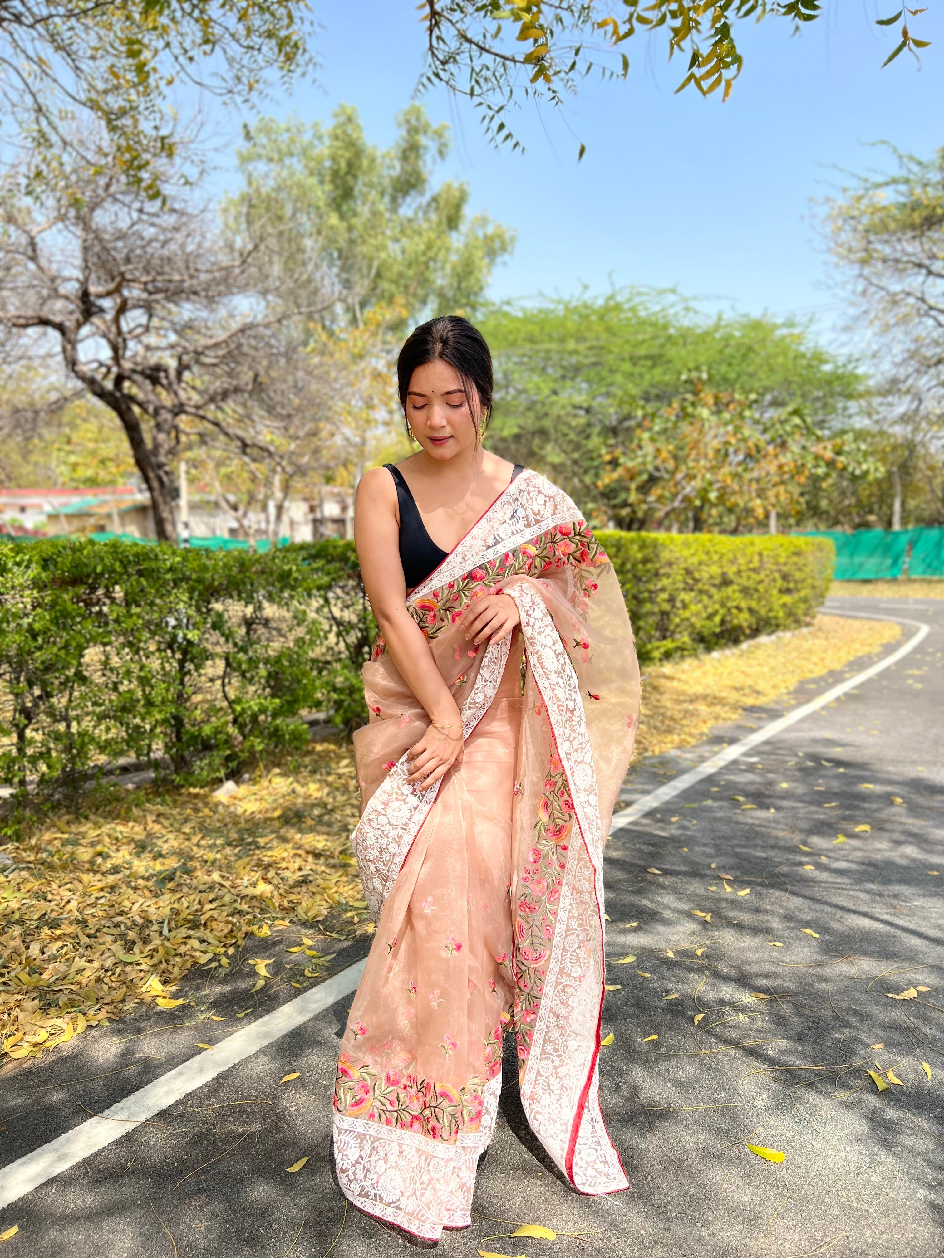 Brown Organza Saree With silk Blouse