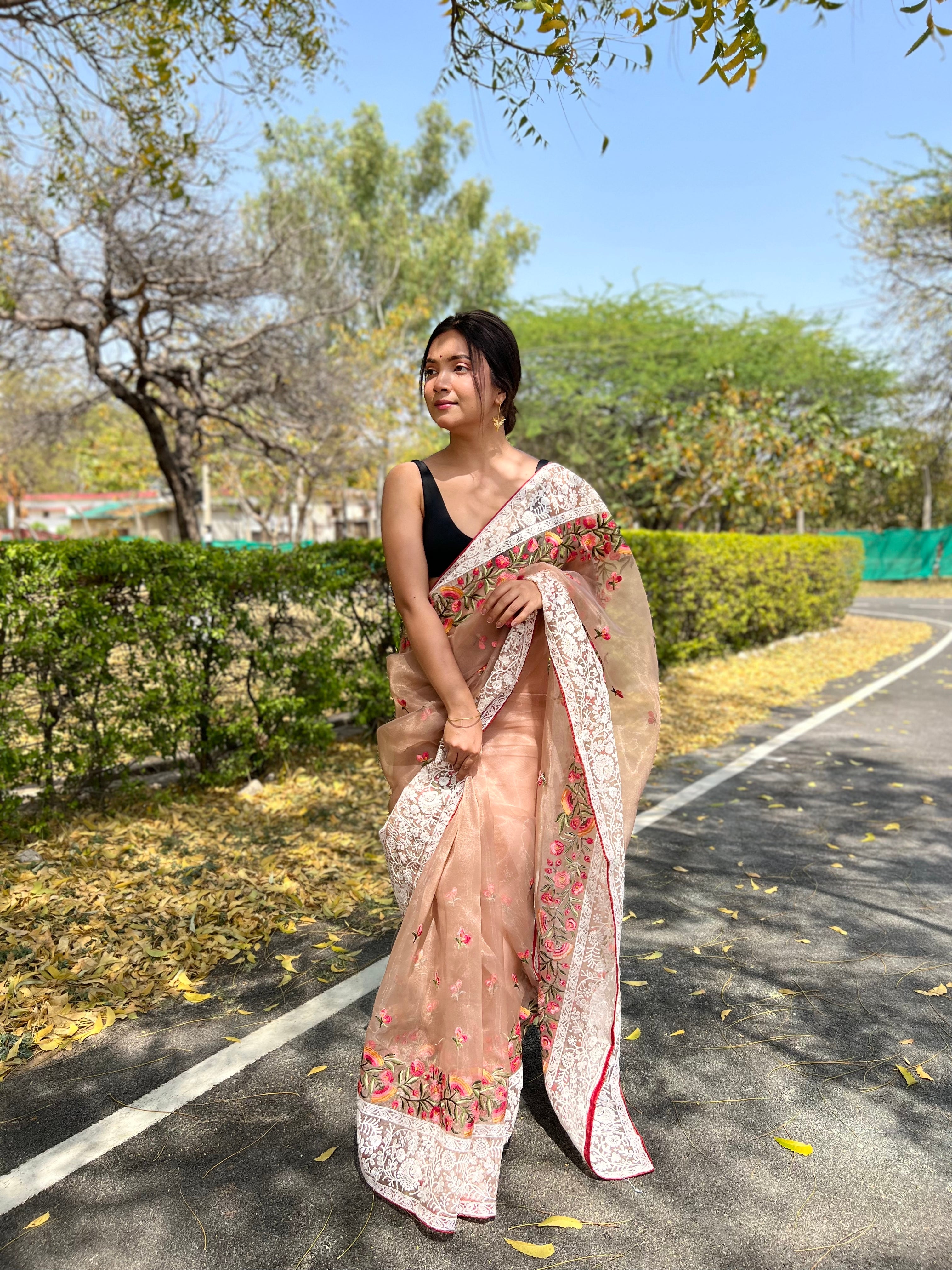 Brown Organza Saree With silk Blouse