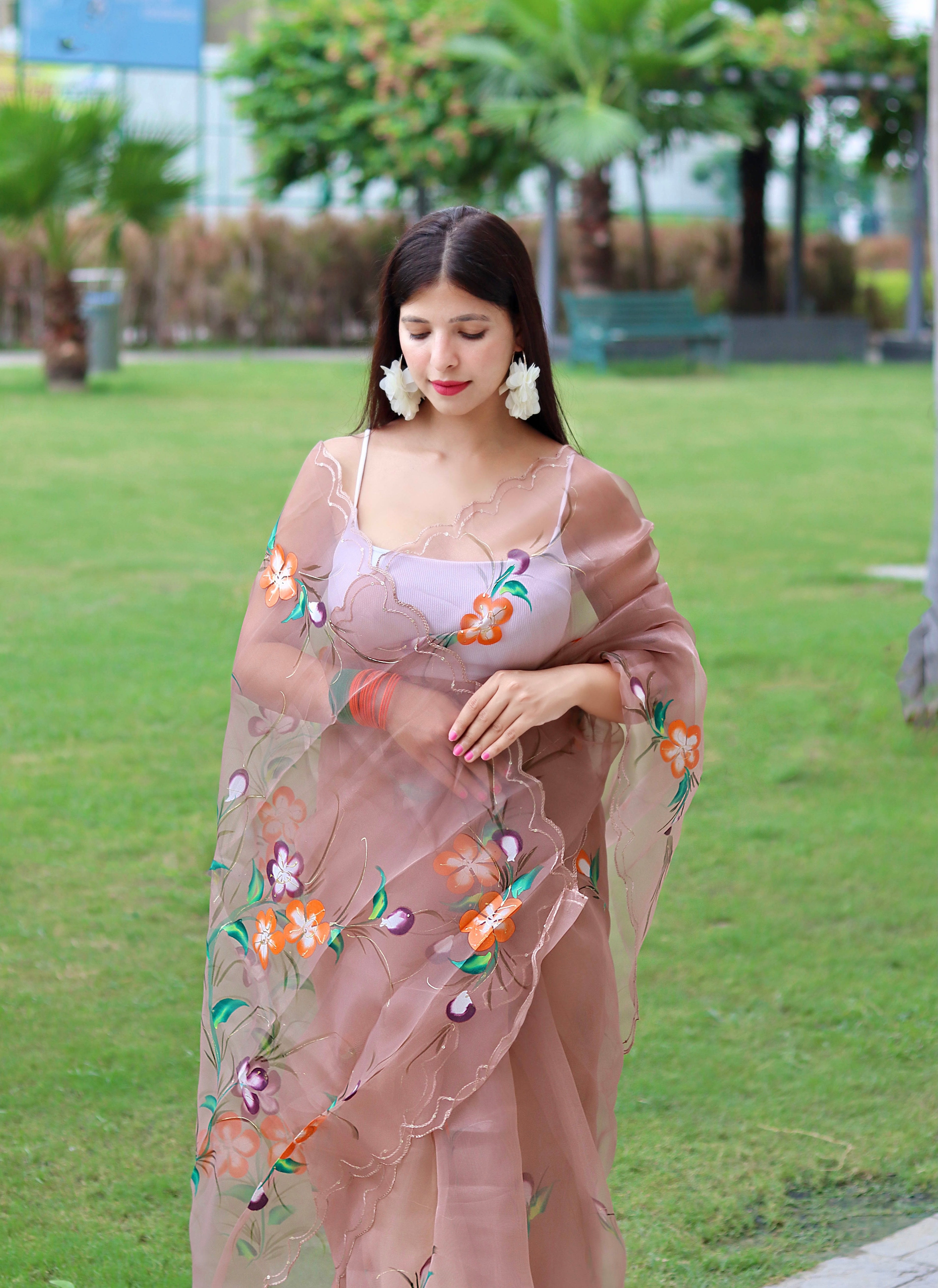 Brown organza Saree With Satin Benglori Blouse