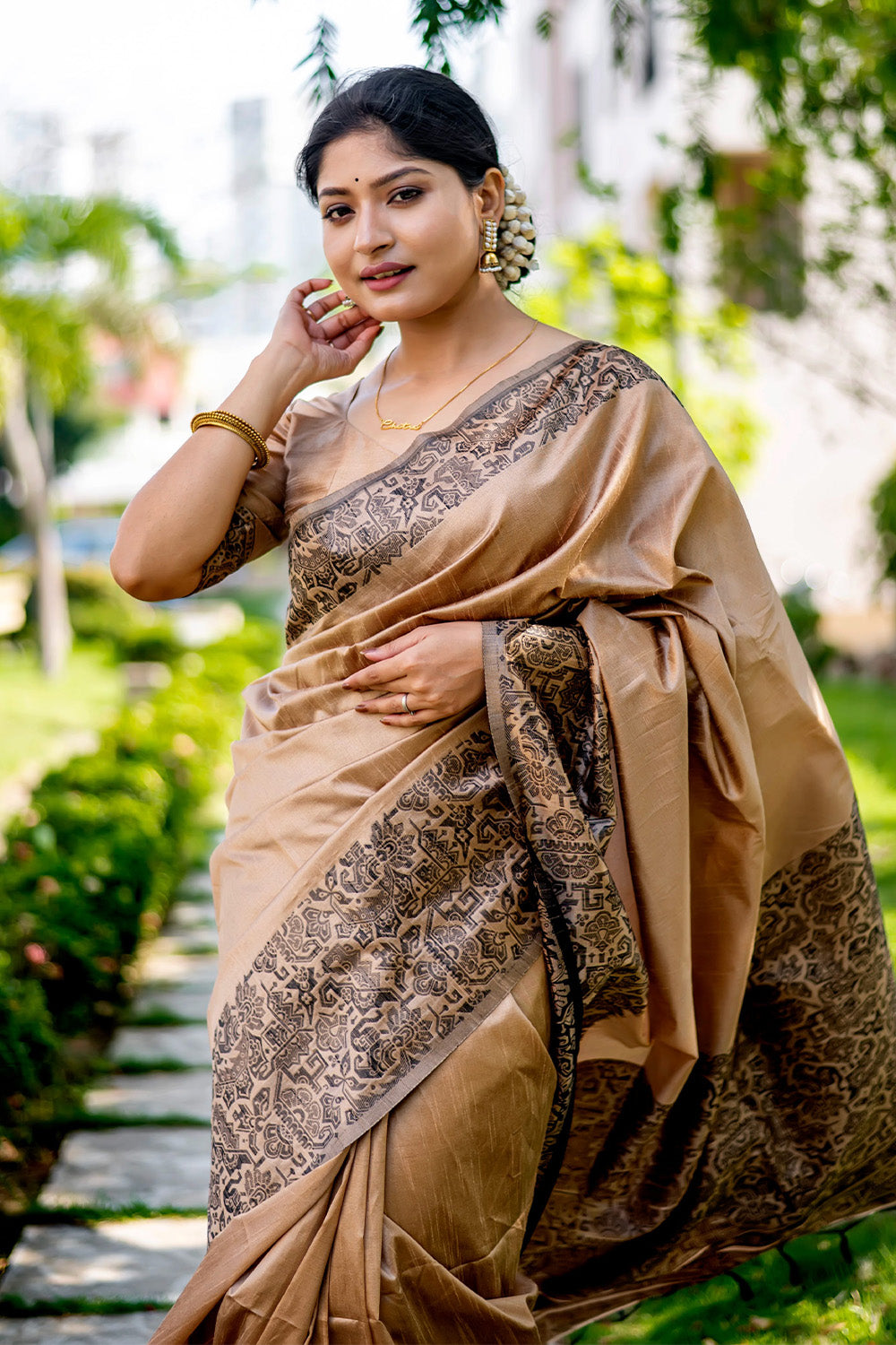 Chiku  Brown Raw Silk Saree